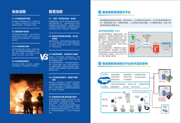 ֲ̩ᣨ2025°棩ͼƬ+pdf 